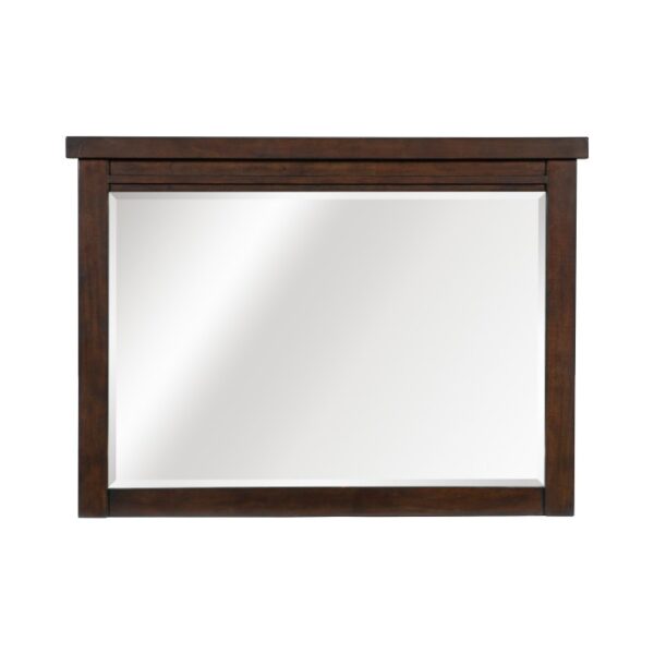 1559-6 MIRROR
