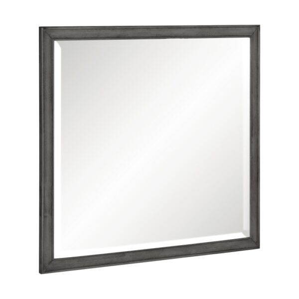 1573-6 Mirror
