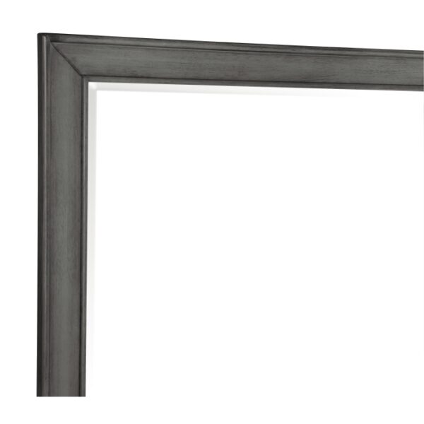 1573-6 Mirror