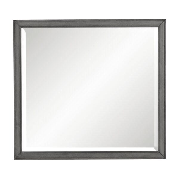 1573-6 Mirror