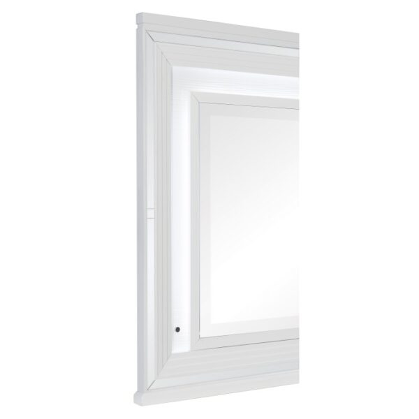1616W-6 Mirror