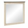 1626-6 Mirror