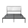 1630 Bedroom Augusta Collection Queen Platform Bed
