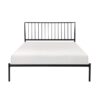 1630 Bedroom Augusta Collection Queen Platform Bed