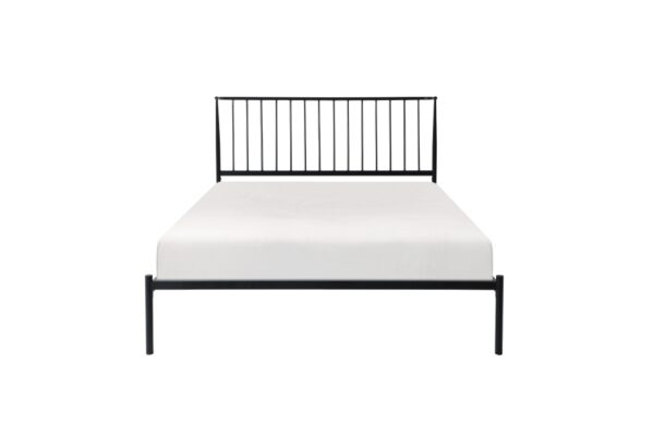 1630 Bedroom Augusta Collection Queen Platform Bed