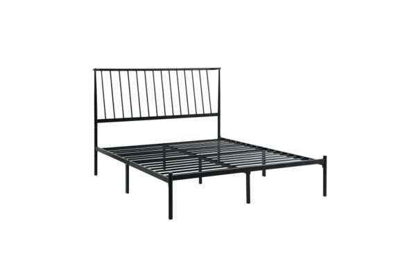 1630 Bedroom Augusta Collection Queen Platform Bed