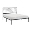 1630 Bedroom Augusta Collection Queen Platform Bed