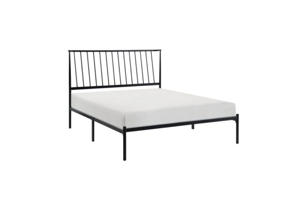 1630 Bedroom Augusta Collection Queen Platform Bed