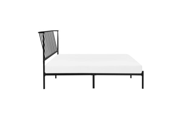 1630 Bedroom Augusta Collection Queen Platform Bed