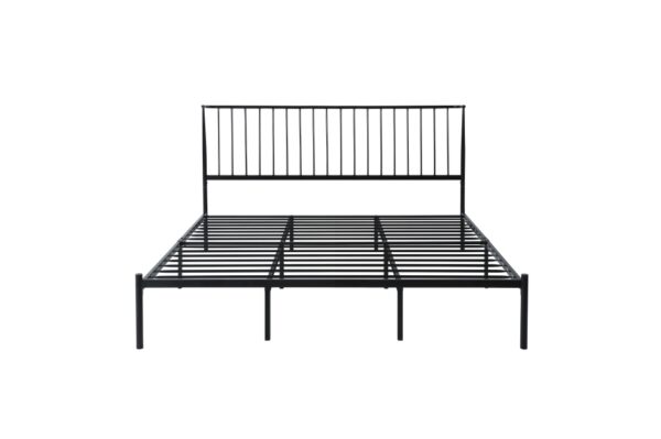 1630 Bedroom Augusta Collection Queen Platform Bed