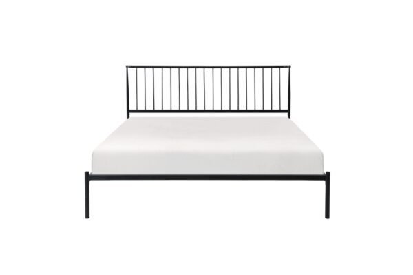 1630 Bedroom Augusta Collection Queen Platform Bed