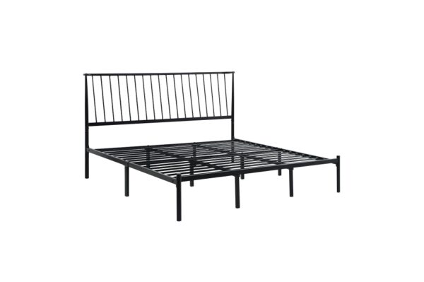1630 Bedroom Augusta Collection Queen Platform Bed
