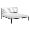 1630 Bedroom Augusta Collection Queen Platform Bed