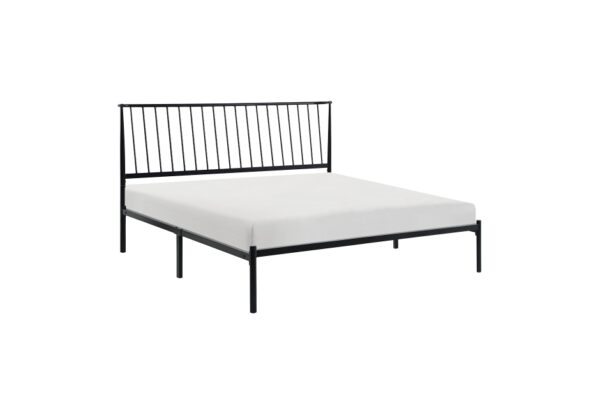 1630 Bedroom Augusta Collection Queen Platform Bed
