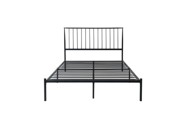 1630 Bedroom Augusta Collection Queen Platform Bed