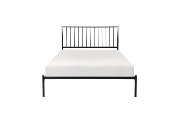 1630 Bedroom Augusta Collection Queen Platform Bed