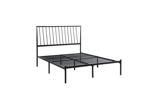 1630 Bedroom Augusta Collection Queen Platform Bed