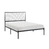 1630 Bedroom Augusta Collection Queen Platform Bed