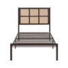 1635DZ Bedroom Sanibel Collection Queen Platform Bed
