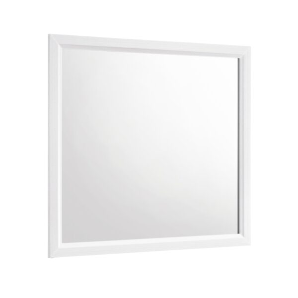 1645WH-6 Mirror