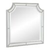 1646-6 Mirror