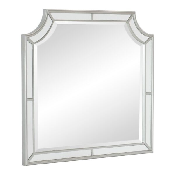 1646-6 Mirror