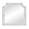 1646-6 Mirror