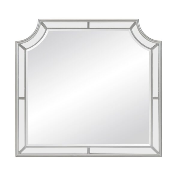 1646-6 Mirror