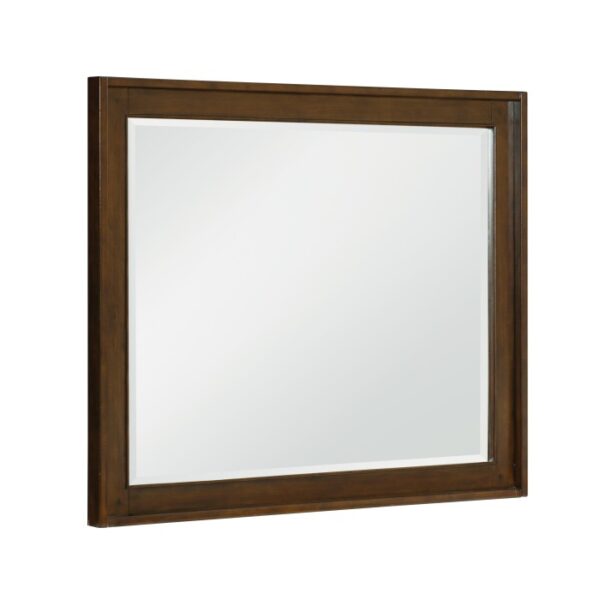 1649-6 Mirror
