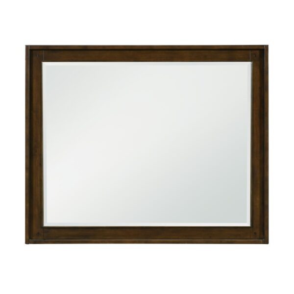 1649-6 Mirror