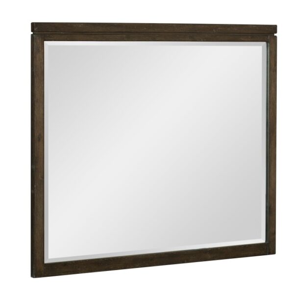 1669-6 Mirror