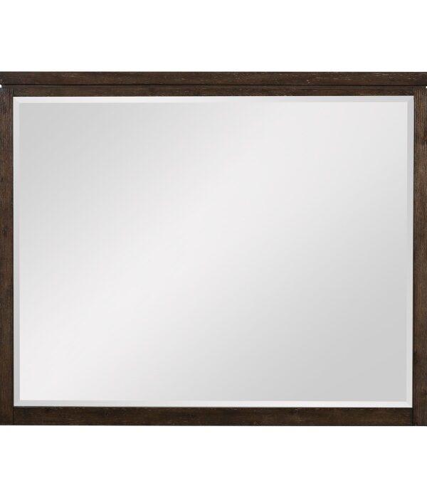 1669-6 Mirror