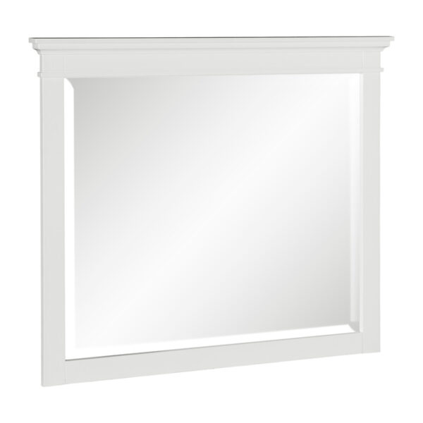 1675W-6 Mirror
