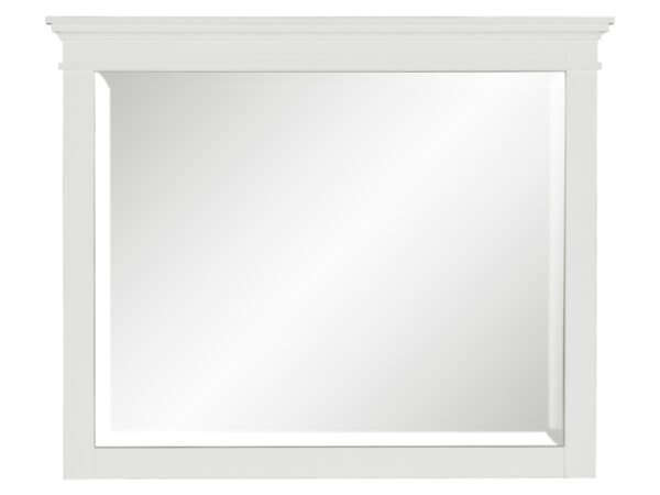 1675W-6 Mirror