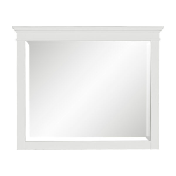 1675W-6 Mirror