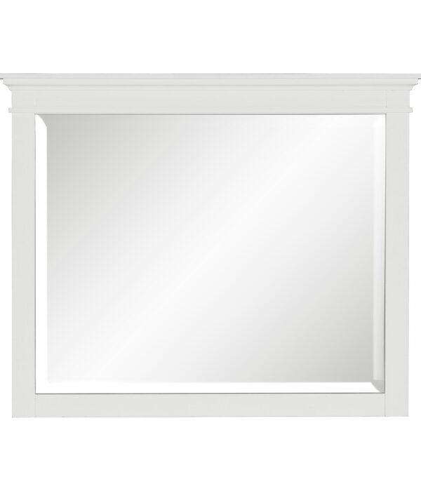 1675W-6 Mirror