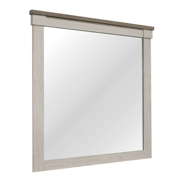 1677-6 Mirror