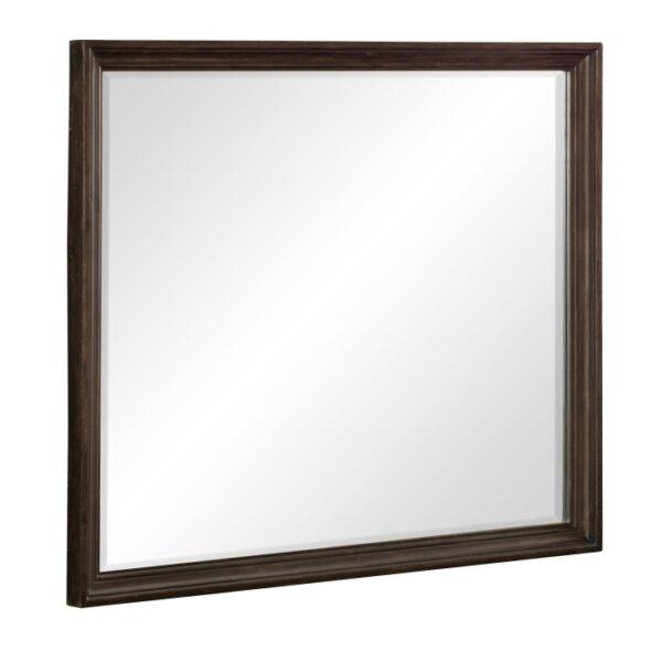1689-6 Mirror