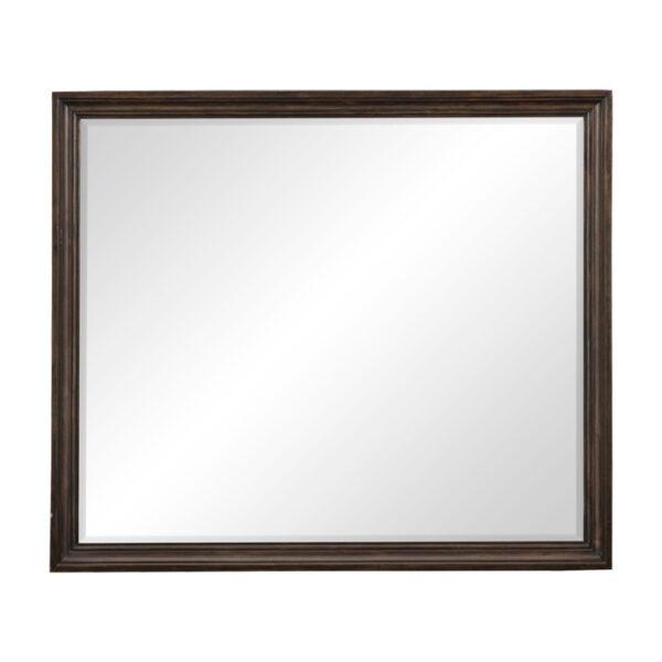 1689-6 Mirror