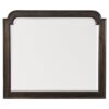 1689P-6N Mirror