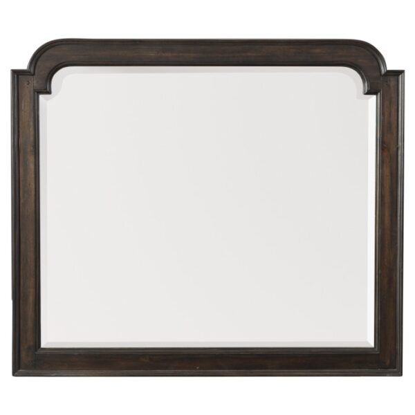 1689P-6N Mirror