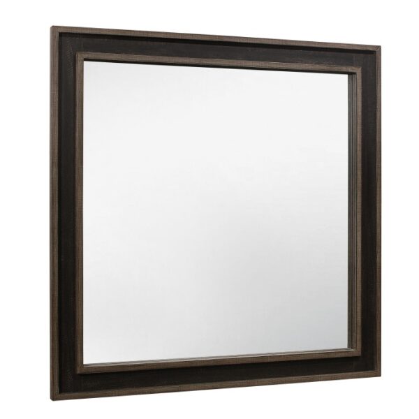 1695-6 Mirror