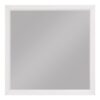 1803W-6 Mirror