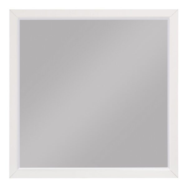 1803W-6 Mirror