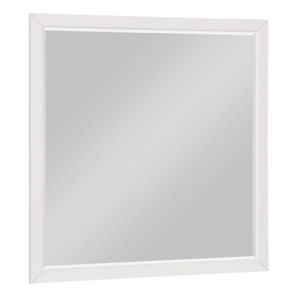 1803W-6 Mirror