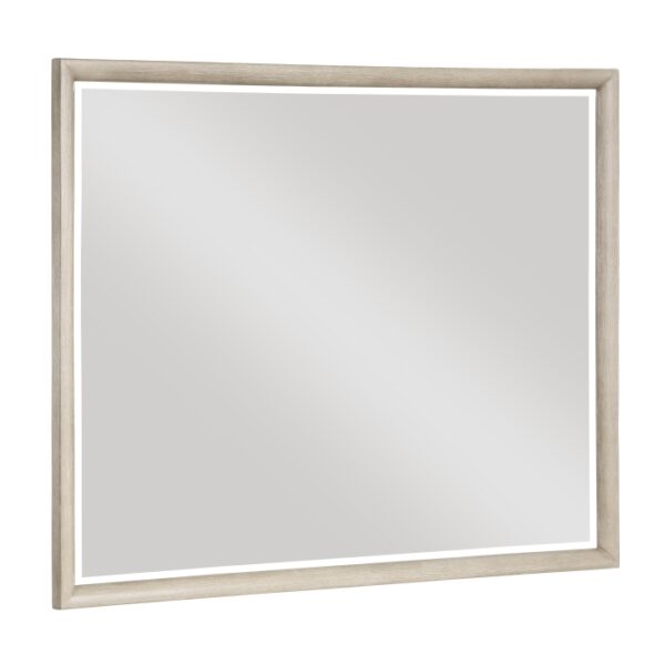 1820N-6 Mirror