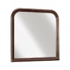 1856-6 Mirror