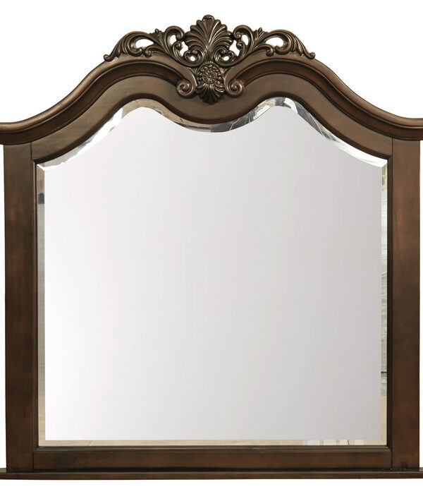 1869-6 Mirror