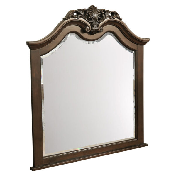 1869-6 Mirror