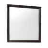 2145-6 Mirror
